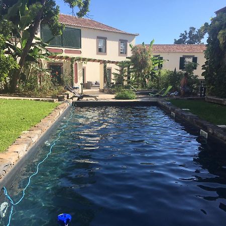 Quinta Araucaria Funchal Apartment Funchal  Ngoại thất bức ảnh