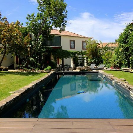 Quinta Araucaria Funchal Apartment Funchal  Ngoại thất bức ảnh