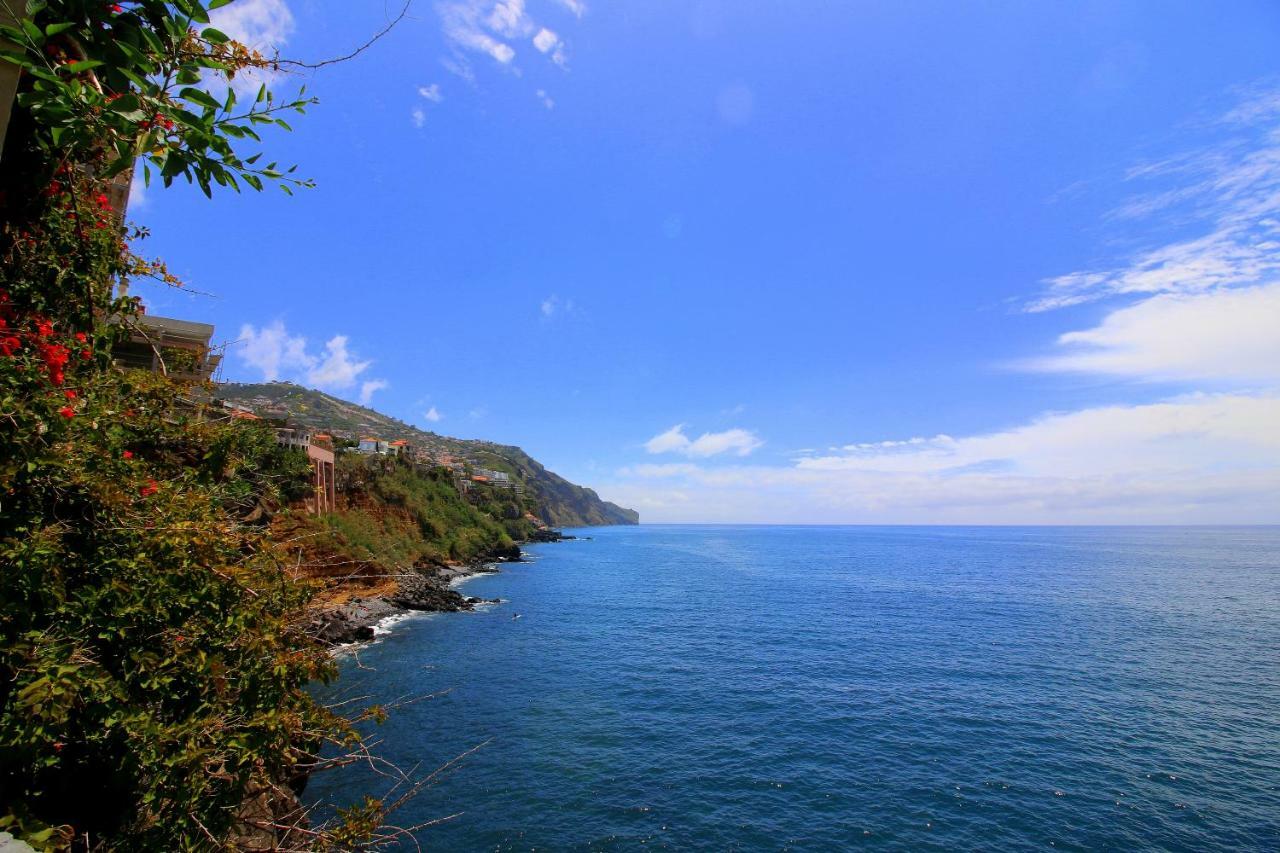 Quinta Araucaria Funchal Apartment Funchal  Ngoại thất bức ảnh
